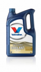 Au&scaron;inimo skystis Valvoline Multi-Vehice 50/50 RTU; 5 l