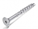 Medsraigtis Rawlplug R-PTX-60300-100; T25; 6x300 mm; 100 vnt.