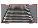 Veržliarakčių komplektas Teng Tools TT1236; 12 vnt.
