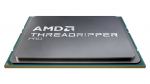 AMD Ryzen Threadripper PRO 7965WX procesorius 4,2 GHz 128 MB L3 Dėklas