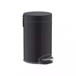 &Scaron;iuk&scaron;liadėžė Hansgrohe AddStoris, mat. juoda, 41775670