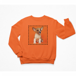 Klasikinis unisex džemperis su Jūsų spauda : Dydis - 2XL, Lytis - Unisex, Spalva - Oranžinė, Spaudos dydis - iki 25x25cm dydžio