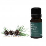 PU&Scaron;Ų ETERINIS ALIEJUS REHASTAR 10ML
