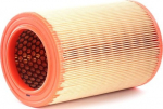 Oro filtras (FILTRON) AR234/5