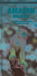 Amazon Wildlife, 2nd Ed