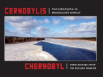Černobylis. Trys de&scaron;imtmečiai po branduolinės avarijos (LT/EN)