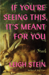 If Youre Seeing This, Its Meant for You: A Novel