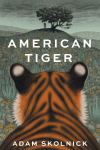 American Tiger