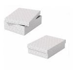 Daiktadėžė ir dovanų dėžutė ESSELTE M 10x27x37cm, baltos spalvos