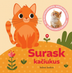 Surask kačiukus. Su nuotraukomis, medžiagėlėmis ir i&scaron;&scaron;okančiu katinėliu!