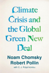 The Climate Crisis and the Global Green New Deal: The Political Economy of Saving the Planet
