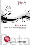 Natica furva