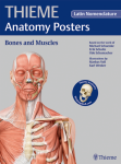 THIEME Anatomy Posters Bones and Muscles, Latin Nomeclature