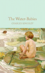 The Water-Babies : A Fairy Tal le for a Land-Baby (Macmillan Collector's Library)