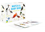 Match a Baby Bird