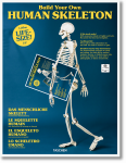 Build Your Own HumanSkeleton - Life Size!