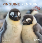Penguins 2026 m. sieninis kalendorius
