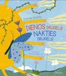 Dienos drugelis, nakties drugelis
