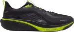 Nike Pegasus 42 Gore-Tex Men's