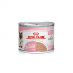 Royal Canin Babycat Instinctive mousse putėsiai jauniausiems kačiukams
