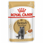 Royal Canin British Shorthair &scaron;lapias maistas katėms 12x85g