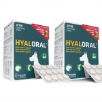 Hyaloral Giant N240 papildai sąnariams