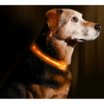 TRIXIE LED ĮKRAUNAMAS &Scaron;VIEČIANTIS antkaklis USB, silikonas, XS-XL 70cm/10mm, oranžinis