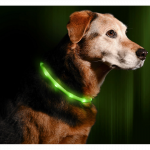 TRIXIE LED ĮKRAUNAMAS &Scaron;VIEČIANTIS antkaklis USB, silikonas, XS-XL 70cm/10mm, žalias