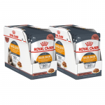 Royal Canin Cat Hair&Skin Care Gravy &scaron;lapias maistas katėms  24x85g