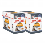 Royal Canin Cat Hair&Skin Care Jelly &scaron;lapias maistas katėms 24x85g