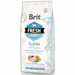 Brit Fresh Fish with Pumpkin Adult Large sausas pa&scaron;aras &scaron;unims