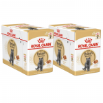 Royal Canin British Shorthair &scaron;lapias maistas katėms 24x85g