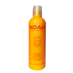 Vitamins Lightweight Revitalising Conditioner Stiprinamasis kondicionierius su vitaminu C, 250ml