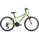 Dviratis Romet Rambler 24 2025 green-graphite