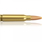 Norma 308 Win Plastic Point 11,7g