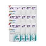 Kattovit Gastro Pate antienos 12x85 g mai&scaron;elis