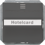 Key card switch, illuminated, 55x55mm, carbon metallic, DELTA i-system 5TG4822 | 4001869270647