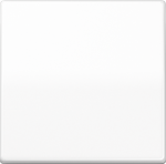 Cover plate, white AS500 AS591WW | 4011377296756