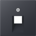 Centre plate 1xIAE/UAE, A500, matt anthracite A569-1BFPLUAANM | 4011377129276