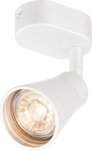 Luminaire AVO CW Single, GU10 QPAR51, 50W, white 1000887 | 4024163191791