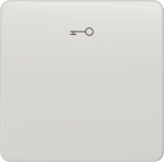 1-gang rocker with key symbol, 65x65mm, titanium white, DELTA profil 5TG7808 | 4001869048529