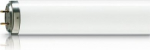 TL 20W/52 SLV/25 Fluorescent lamp 928003505203 | 08711500643025
