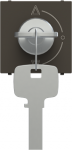 Color: Anthracite.   Rated voltage: 110 - 250 Vac.   Rated current: 150mA.   Key removable in "OFF" position.   Unique key for each lock.   Suitable for blinds, shutters, etc.   Size: 2 modules. 2CLA225310N1801 | 8427238229867