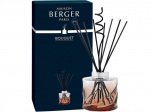 Maison Berger Paris Aroma diffuser Spirale amber 200 ml 200ml