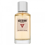 Guess Originals Type 2 Red Currant & Balsam EDP U 100 ml 100ml