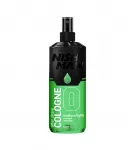 Nishman After Shave Cologne Northern Lights Vanduo po skutimosi 400 ml Kūnui