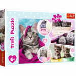 TREFL PUZZLES TREFL Dėlionė &bdquo;Kačiukai&ldquo; 160 det.