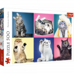 TREFL PUZZLES TREFL dėlionė &bdquo;Kačiukai&ldquo;, 500 det.
