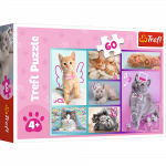 TREFL PUZZLES TREFL Dėlionė &bdquo;Kačiukai&ldquo; 60 det.