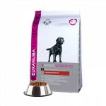 Eukanuba Labrador Retriever Adult (vi&scaron;tiena) 12kg